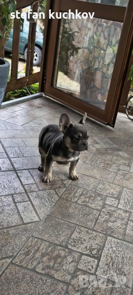 Момиче, снимка 1