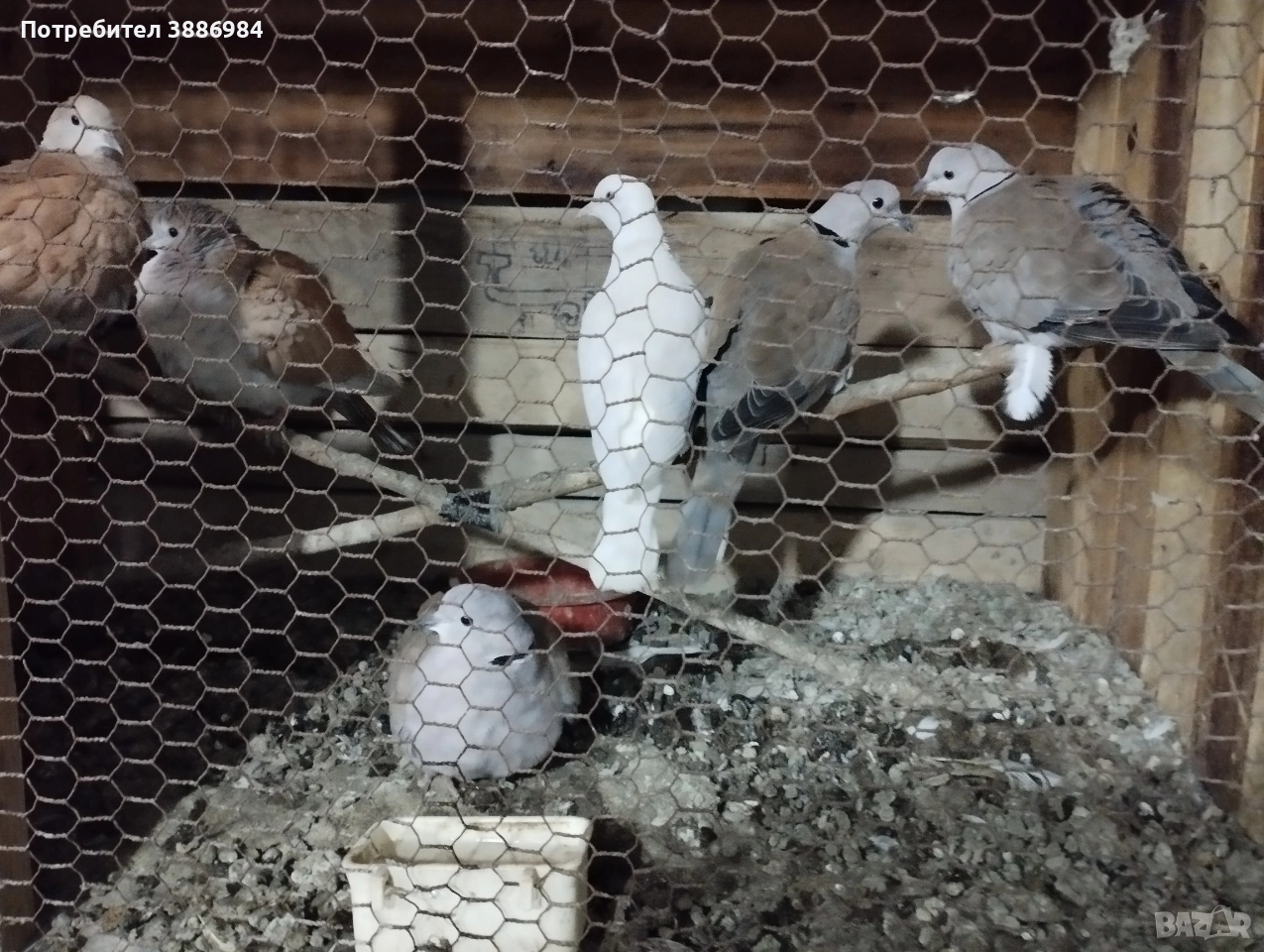 заменям, снимка 1