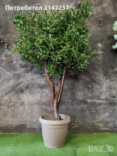 Изкуствени дръвчета , снимка 1