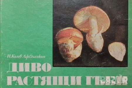 Диворастящи гъби Ръководство за любители гъбари Никола Колев, Афанасий Охапкин, снимка 1