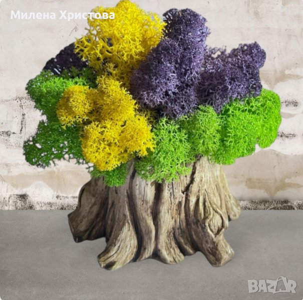 Кашпи със скандинавски мъх , снимка 1