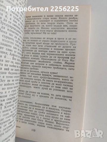 Братя Монториан, снимка 3 - Художествена литература - 54311289