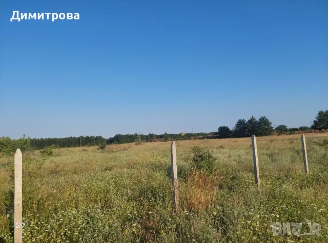 Земеделска земя 10 дка, снимка 2 - Земеделска земя - 55810140