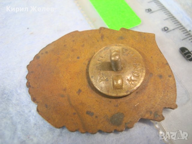 ОТЛИЧНИК по БОЙНАТА и ПОЛИТ. ПОДГОТОВКА Стара ЕМАЙЛИРАНА БРОНЗОВА ЗНАЧКА на ВИНТ - ДИП КОМУНА 17380 , снимка 4 - Колекции - 38465695