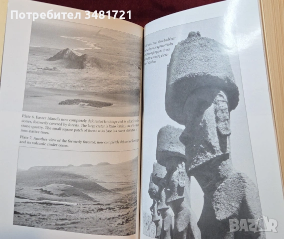 Колапс - как цивилизациите избират да загинат или успеят / Collapse, снимка 6 - Художествена литература - 54243911