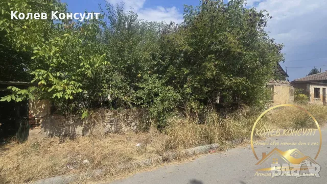 парцел със стара къща Димитровград,кв.Черноконево, снимка 8 - Къщи - 56069599