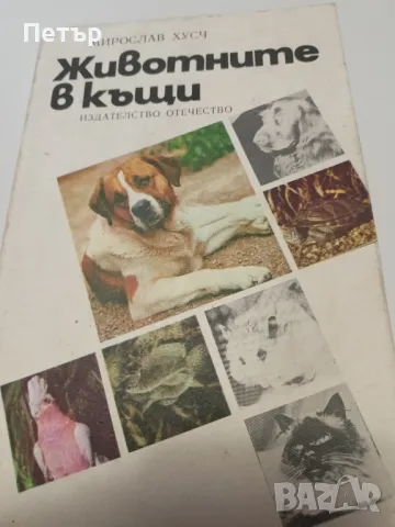 Животните в къщи- Мирослав Хусч, снимка 1 - Енциклопедии, справочници - 49149476