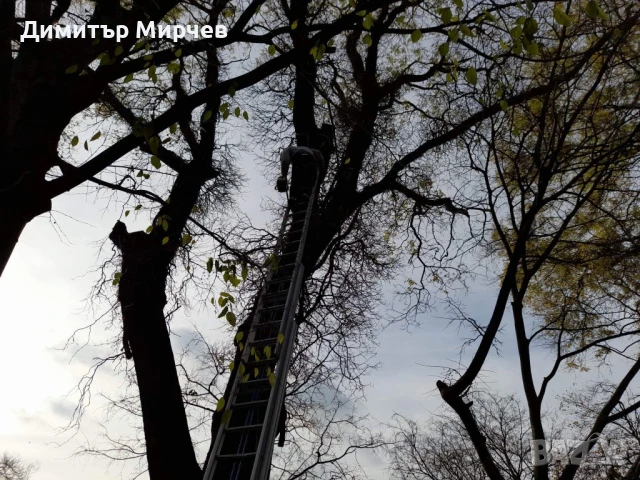 Рязане на високи опасни дървета Косене на тревни площи, снимка 17 - Други услуги - 50980475