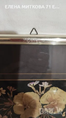 2 картини композиции от изсушени цветя с паспарту и метална рамка остъклени, снимка 7 - Картини - 48733885