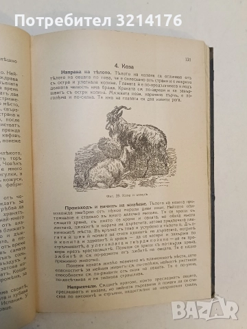 Животнитѣ от биологично гледище - Борис Митов (1935, Луксозна изработка, Отлично състояние), снимка 12 - Специализирана литература - 52773226