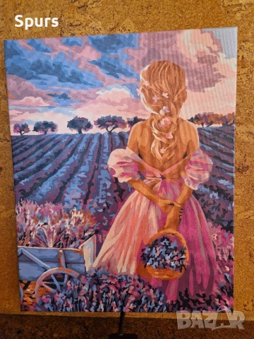 Ръчно рисувани картини 40х50см, снимка 15 - Картини - 47043273