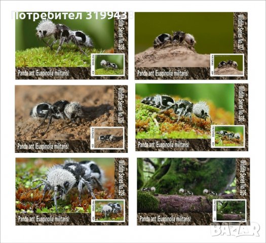 Чисти блокове Фауна Насекоми Мравка панда 2020 от Тонго, снимка 1 - Филателия - 37606964