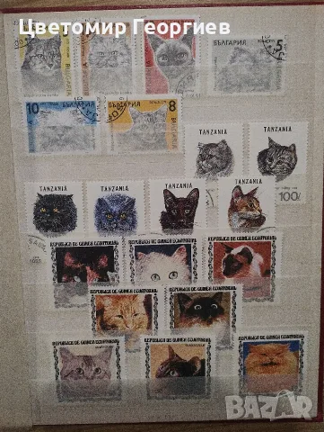 Класьор с марки /котки / 147 бр., снимка 7 - Филателия - 56504433