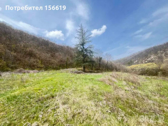 Продавам парцел 4 612 декара , снимка 5 - Парцели - 56296910