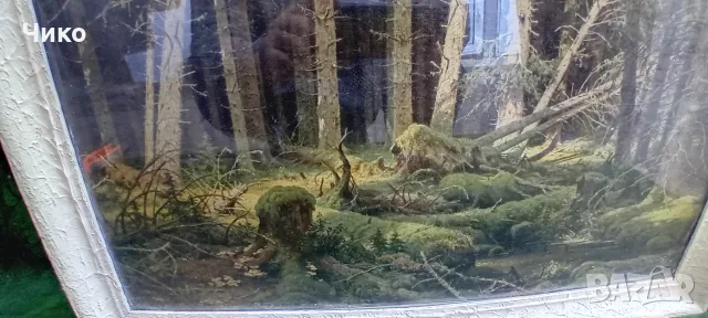 2бр стари картини снимки в рамка