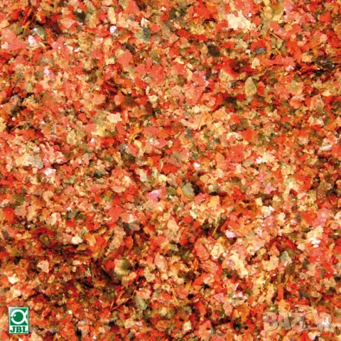 Дафния и Витамини на люспи - Храна за аквариумни рибки, снимка 2 - Други - 47883030