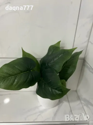 Красиво изкуствено растение в саксия, Cozevdnt, зелено, снимка 8 - Изкуствени цветя - 50433765