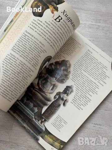 Енциклопедия Фентъзи – Джуди Алън, Фют , снимка 13 - Детски книжки - 53295584