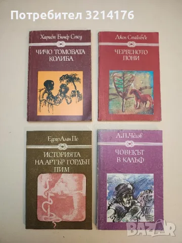 Господаря на Балантрей. Зимна приказка - Робърт Луис Стивънсън, снимка 2 - Художествена литература - 50109097