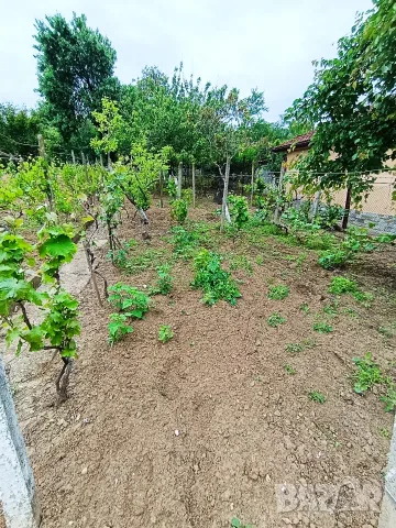 Продавам  вила., снимка 4 - Вили - 56246153