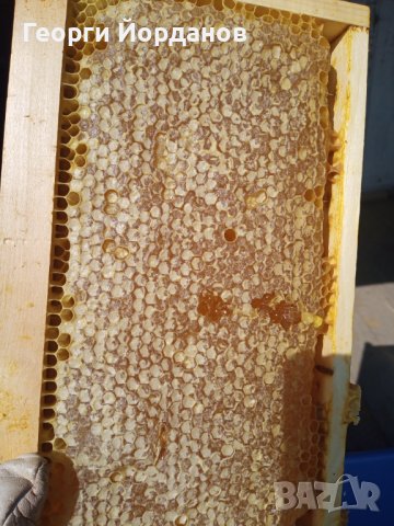 100% чист мед, снимка 9 - Пчелни продукти - 37349972