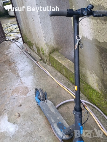 trotinetka, снимка 2 - Уроци по чужди езици - 53217305