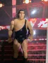 Екшън фигура WWE Andre the Giant Андре Гиганта играчка figure Mattel Basic Series, снимка 4