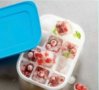 Tupperware форма за лед, снимка 2