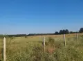 Земеделска земя 10 дка, снимка 2