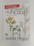 Здраве от аптеката на Господ, снимка 1