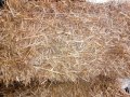 Бали люцерна, пшеничена слама и овес. царевица , снимка 1