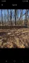 дърва за огрев метровки дъб , снимка 3
