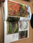 Цветна Енциклопедия - Colour Round the Year (Successful Gardening), снимка 6