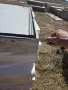 Хладилни врати/камера,склад, снимка 4