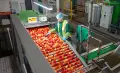 Работа в ПакХаус Англия, снимка 1