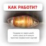 ДЖОБ ЗА ПРИГОТВЯНЕ НА КАРТОФИ В МИКРОВЪЛНОВА ФУРНА POTATO EXPRESS, снимка 4