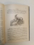 Животнитѣ от биологично гледище - Борис Митов (1935, Луксозна изработка, Отлично състояние), снимка 12