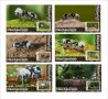 Чисти блокове Фауна Насекоми Мравка панда 2020 от Тонго