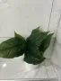 Красиво изкуствено растение в саксия, Cozevdnt, зелено, снимка 8