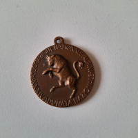 Медали ордени, снимка 4 - Антикварни и старинни предмети - 44684264