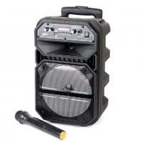 Караоке Тонколона 8" ND-6009, 1 безжичен микрофон, Bluetooth, FM радио, micro SD/USB/AUX, Светлини , снимка 2 - Тонколони - 30878337