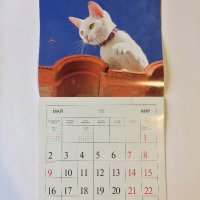 Стенен календар 2011 Котки, снимка 9 - Други - 38776717