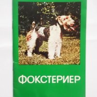 Книга Ловно куче Фокстериер 1980 г. БЛРС, снимка 1 - Други - 31268874