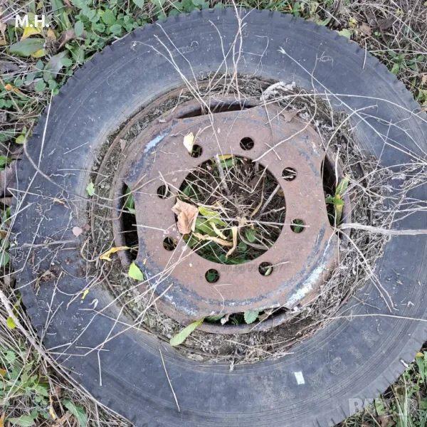 Джанти за Прага /Газ, снимка 1