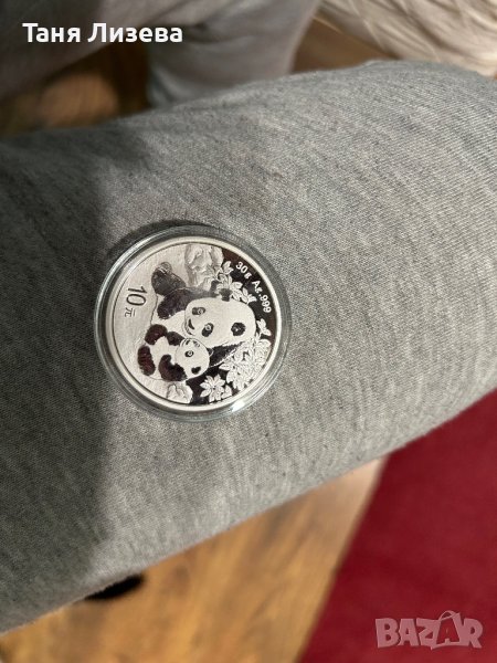 Китайска панда 24 г., снимка 1