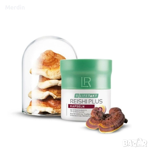 Reishi Plus Capsules | Гъба Рейши Капсули, снимка 1