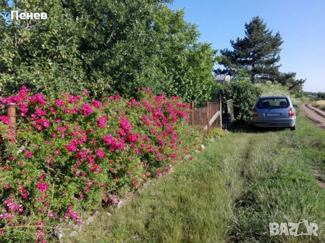 Място край Добрич