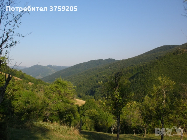 Продавам парцел в с.Рибариба, снимка 5 - Парцели - 52266031