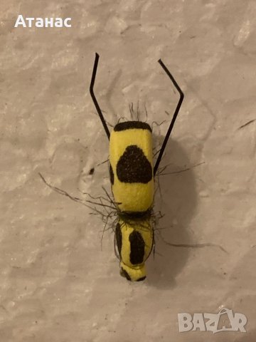 изкуствени мухи за риболов на кефал, снимка 15 - Такъми - 12372194