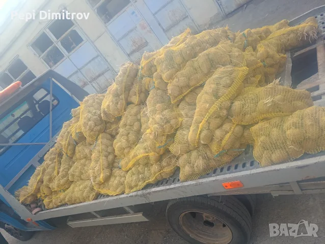 Картофи за животни 